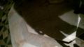 WP 20160927 19 27 36 Pro
